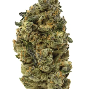 Black Mountain Side 28G Flower