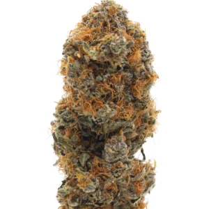 Sweet Prairie Sunrise 3.5g