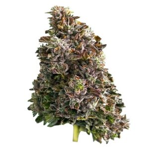 Bazookas Hybrid Flower 14g