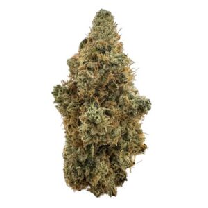 Dirty Taxi Sativa Flower 3.5g