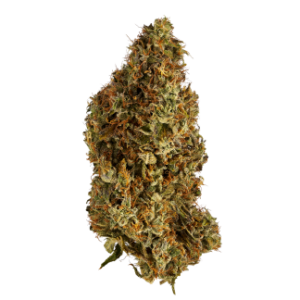 Galactic Glue Sativa Flower 28g