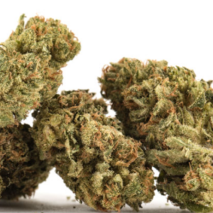 Stonersaurus Rex Sativa Flower 28g